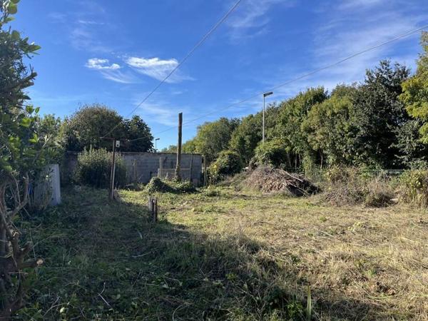 Terrain à vendre |  Salles-sur-Mer |  226 m²