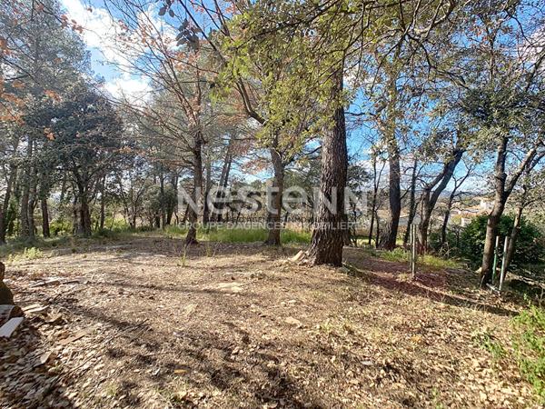 Terrain constructible de 1 595 m² au calme absolu à Pourrières