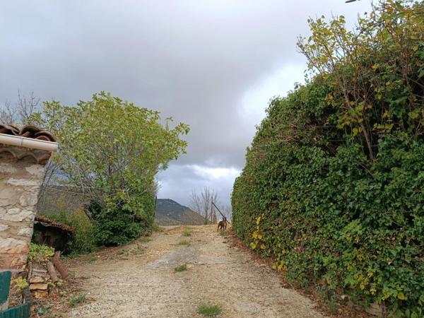 Vente / Terrain agricole