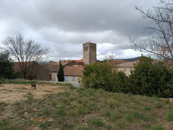 Vente / Terrain agricole