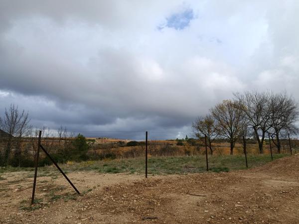 Vente / Terrain agricole