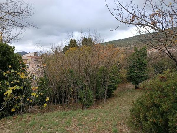 Vente / Terrain agricole