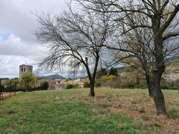 Vente / Terrain agricole