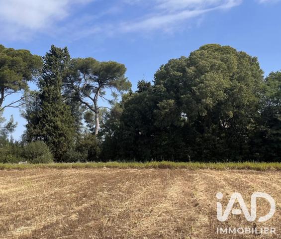 Terrain à vendre 221 m² Carpentras