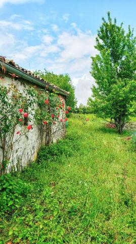Maison Mazieres En Gatine 8 pièce(s) 288 m2