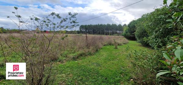 Maison en pierre - 5 chambres - Dépendances - Terrain de 3 ha