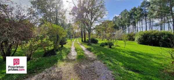 Maison en pierre - 5 chambres - Dépendances - Terrain de 3 ha
