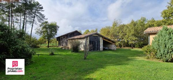 Maison en pierre - 5 chambres - Dépendances - Terrain de 3 ha