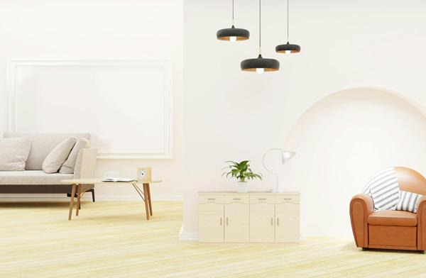 Vente Appartement50,24 m² - 2 Pièces - ST CERGUES (74140)