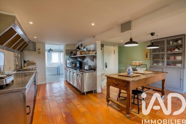Maison à vendre 10 pièces 345 m² Les Eyzies