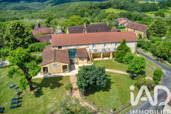 Maison à vendre 10 pièces 345 m² Les Eyzies