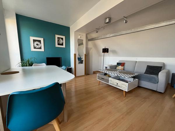 Bel appartement T2 cocooning au coeur de Laval avec vue Mayennn et place de parking