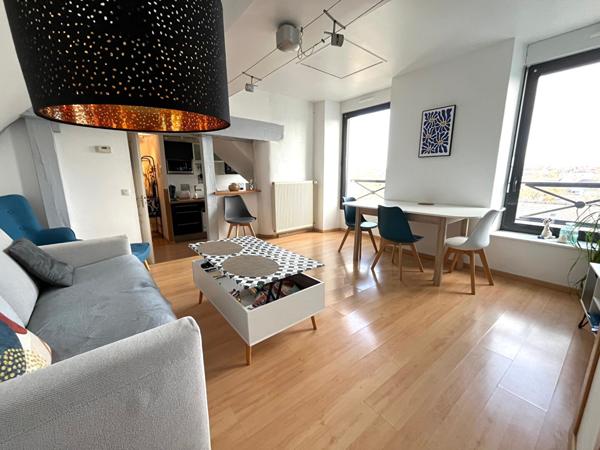 Bel appartement T2 cocooning au coeur de Laval avec vue Mayennn et place de parking