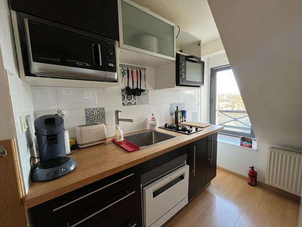 Bel appartement T2 cocooning au coeur de Laval avec vue Mayennn et place de parking