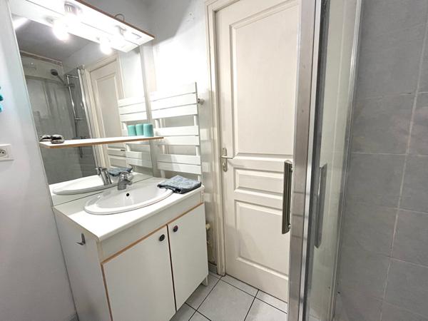 Bel appartement T2 cocooning au coeur de Laval avec vue Mayennn et place de parking