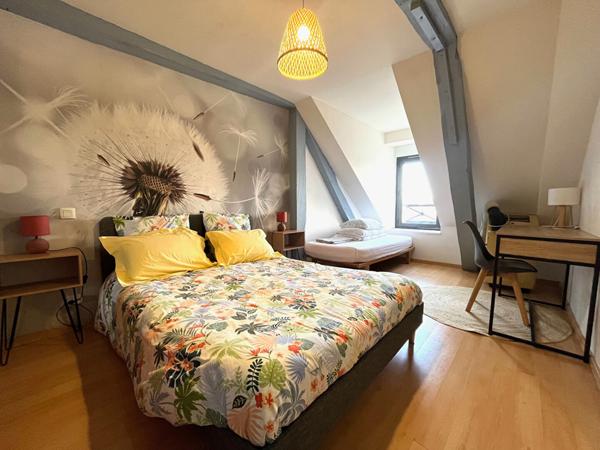 Bel appartement T2 cocooning au coeur de Laval avec vue Mayennn et place de parking