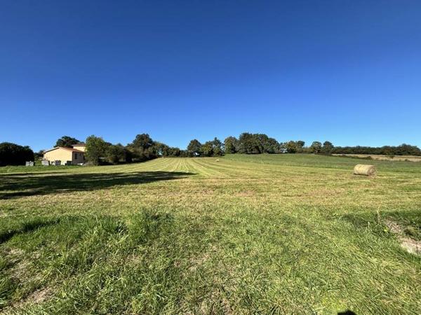 Terrain à vendre |  Uglas |  3710 m²