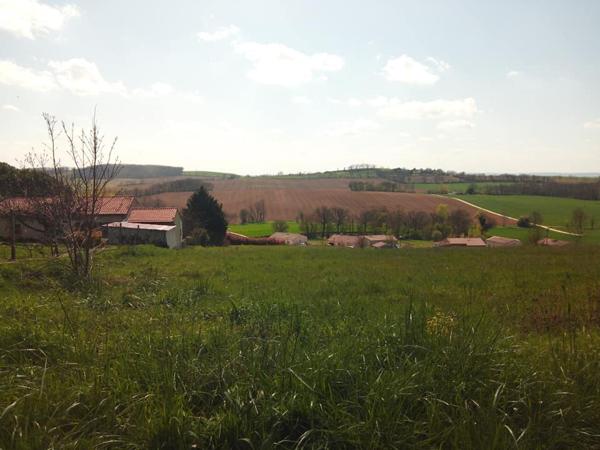 Terrain 1000m² Puycasquier (32120) parcelles