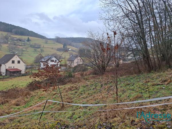 Terrain constructible d'env. 10 ares
