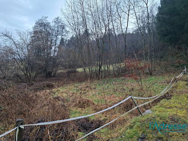 Terrain constructible d'env. 10 ares