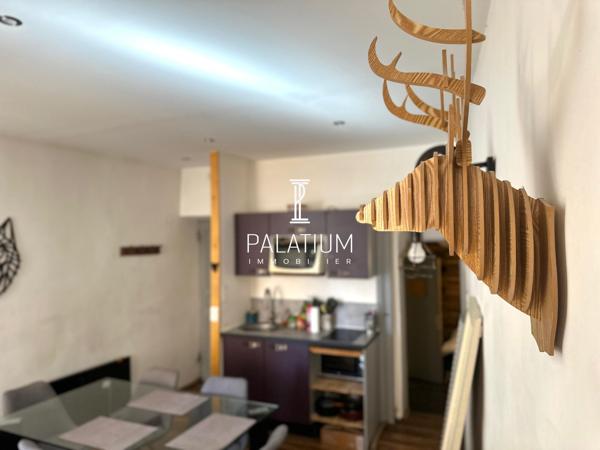 À vendre – Appartement T2 lumineux de 47 m² – Centre-ville de Gap
