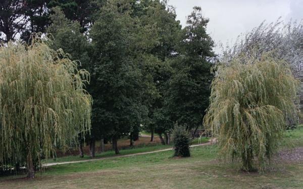 Appartement à vendre    2 pièces • 28 m2 Arzon