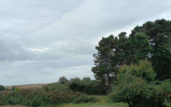 Appartement à vendre    2 pièces • 28 m2 Arzon