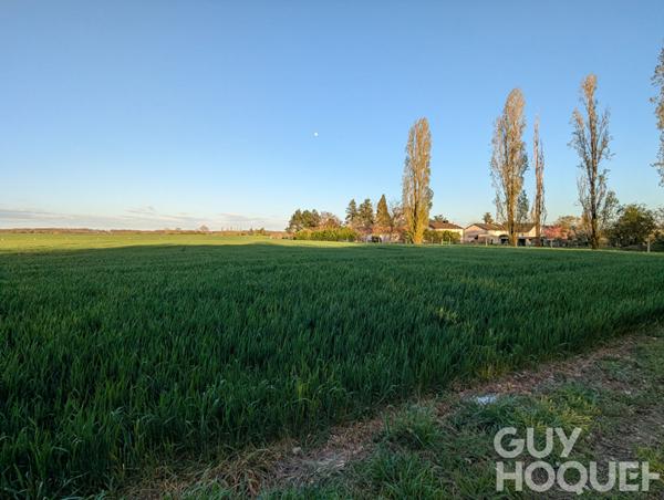 1232 m2 de calme, la tondeuse en option