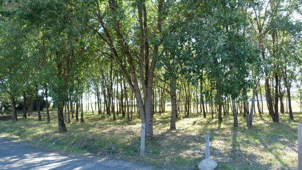 Terrain à Batir à vendre à Goudourville dans le Tarn-et-Garonne (82400), ref : 1475   
Lalande