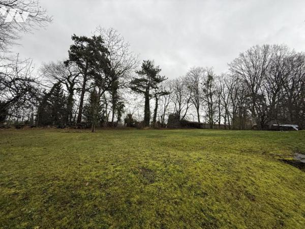 PARGNY LES REIMS- Maison T6 de 159m2 + 52m2 à aménager sur 3513m2 de terrain.