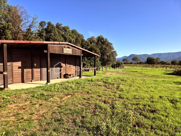 Domaine de prestige en Provence – Une propriété d’exception aux multiples possibilités

Au cœur d’un environnement naturel d’une rare beauté, avec une vue spectaculaire sur le Massif des Maures et le Pic de Notre-Dame des Anges, cette authentique bastide provençale de la fin du XIXᵉ siècle offre un cadre de vie unique où charme, élégance et sérénité se conjuguent à la perfection.

Développant près de 420 m² habitables (loi Carrez) avec 219 m² de dépendances et surfaces annexes, ce domaine remarquable se distingue par ses volumes généreux, son authenticité préservée et son potentiel exceptionnel.

La demeure principale propose de vastes espaces de réception baignés de lumière, plusieurs suites, de nombreuses chambres ainsi que des pièces de vie chaleureuses, idéales pour accueillir famille et invités dans un confort absolu.

À l’extérieur, les prestations séduisent immédiatement : piscine avec cuisine d’été, vastes terrasses, habitations indépendantes, espace équestre avec sellerie et boxes, mare, chapelle et parc arboré composent un cadre privilégié où chaque espace invite à la détente.

Grâce à ses deux dépendances indépendantes, ses nombreux couchages, ses grands espaces de réception et ses extérieurs parfaitement adaptés, cette propriété se prête idéalement à l’organisation d’événements privés ou professionnels : mariages, réceptions, séminaires, retraites bien-être, stages, chambres d’hôtes ou activité de gîtes haut de gamme.

Sa localisation constitue un atout majeur. À proximité immédiate des principaux axes autoroutiers, facilement accessible depuis les aéroports de Marseille, Toulon et Nice, à quelques minutes d’un héliport et du célèbre Circuit du Var, le domaine bénéficie d’une situation idéale pour accueillir une clientèle française et internationale.

Les amateurs de sports mécaniques, d’équitation, de randonnée, de golf ou des plus beaux sites de la Provence trouveront ici un point de départ privilégié pour découvrir toute la richesse du territoire.

Cette propriété rare offre ainsi un équilibre parfait entre résidence familiale de prestige et projet professionnel d’envergure, dans un secteur recherché où les biens de cette qualité sont particulièrement rares.

Cette adresse confidentielle séduira autant les amoureux des belles demeures que les investisseurs à la recherche d’un bien capable d’accueillir une activité événementielle ou touristique de standing.

Une propriété rare, chargée d’histoire et d’émotion, où chaque pierre raconte la Provence. Un lieu unique destiné à une clientèle en quête d’exclusivité, d’authenticité et d’un art de vivre incomparable.