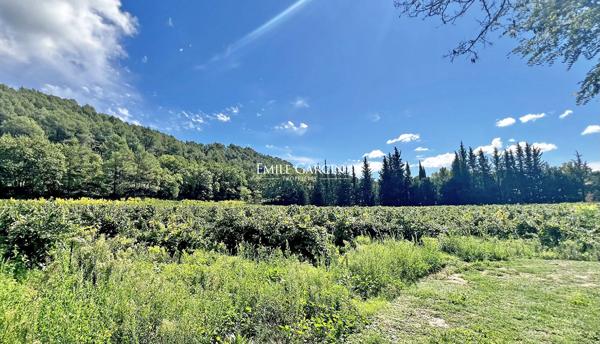 Sud Luberon - Grande demeure à vendre bordée par un ruisseau