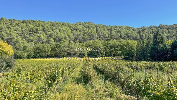 Sud Luberon - Grande demeure à vendre bordée par un ruisseau