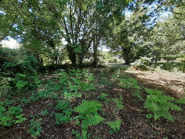 Brech terrain de 3170 m2 dont 294 m2 constructibles , Brech