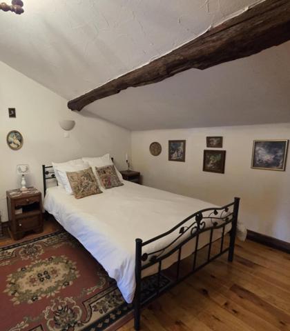 Deux maisons, un charme fou- maison principale plus gite en pierre