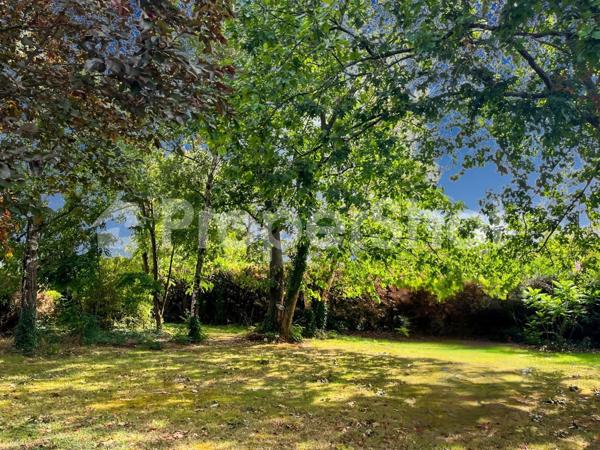 Basse-Goulaine (44115) BASSE GOULAINE - TERRAIN SUD 617 m2