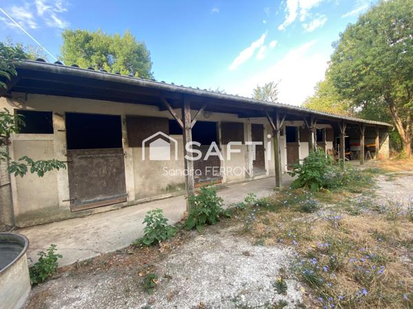 Maison familiale avec du potentiel!