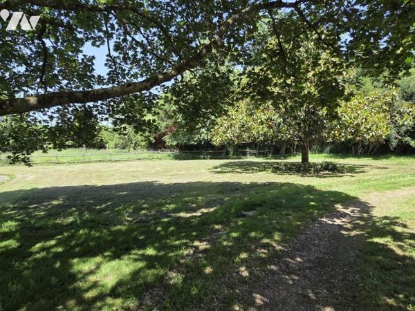 Maison de caractère XVème 160m2 avec maison annexe sur terrain de 2.23ha 