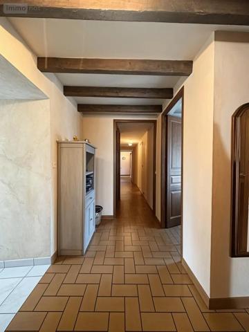 Achat - Maison Saint-Saturnin-sur-Loire 49320 5 pièces 210 m 2 5400 m 2