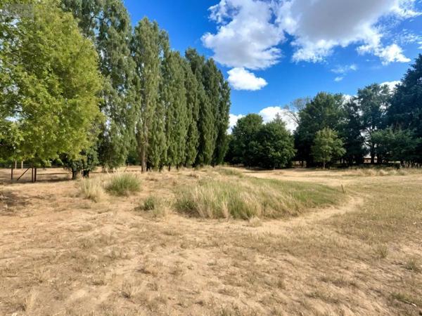 Achat - Maison Saint-Saturnin-sur-Loire 49320 5 pièces 210 m 2 5400 m 2