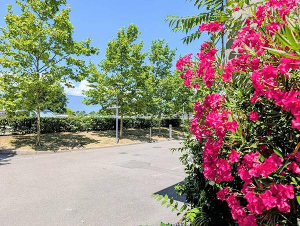Appartement T4 92m2 de standing avec piscine - Proche centre de Chambéry