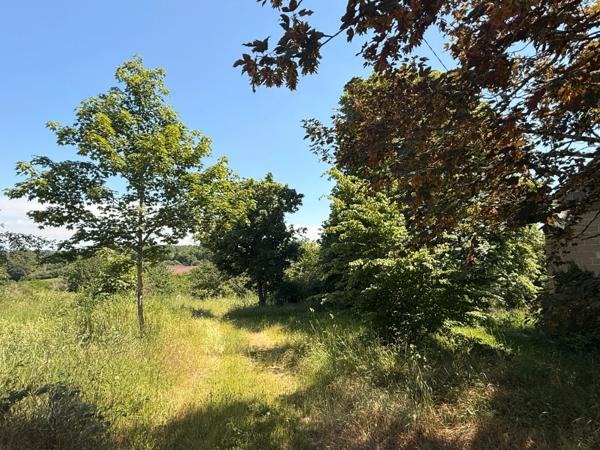 Ancienne grange à finir de restaurer 140m², 4 chambres, sur 1,2 hectares de terrain, 79 000 €