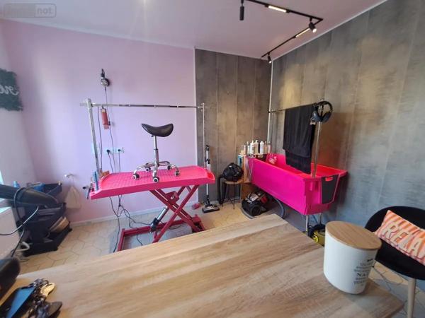 Achat - Maison Audruicq 62370 5 pièces 85 m 2 116 m 2