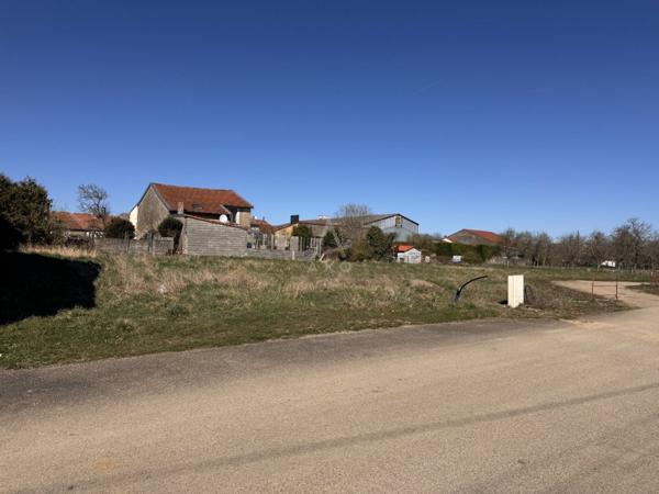 EXCLUSIVITÉ // VIONVILLE // TERRAIN VIABILISÉ // 4,48 ARES // 59 000