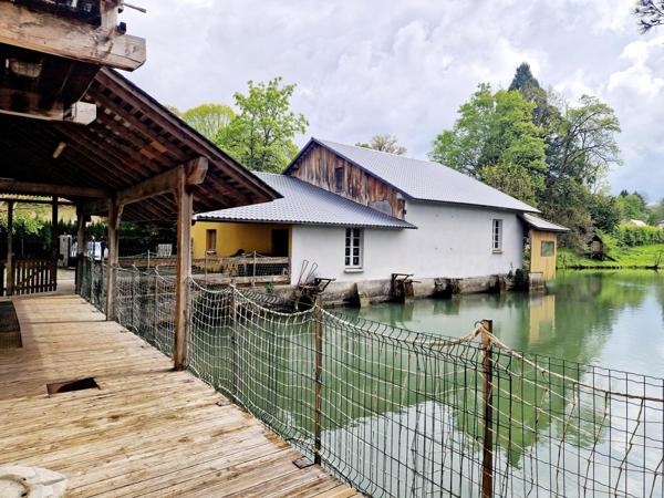 ancien moulin, cadre et potentiel exceptionnel