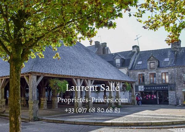 Questembert : Immeuble de rapport de175 m2 (environ)