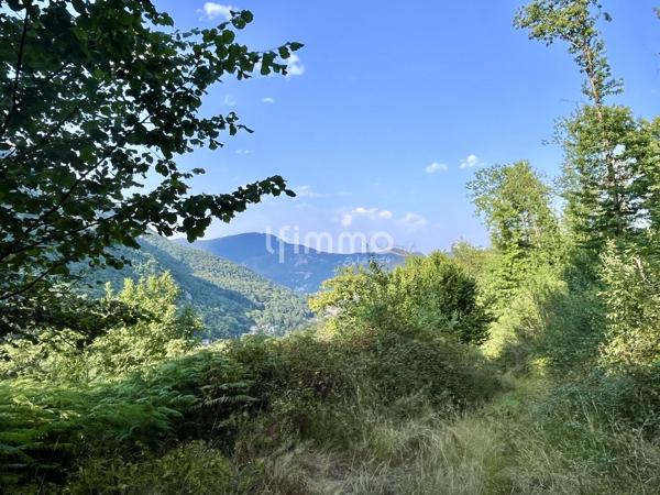 Terrain forestier 10 620 m² avec ancienne bergerie