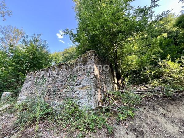 Terrain forestier 10 620 m² avec ancienne bergerie