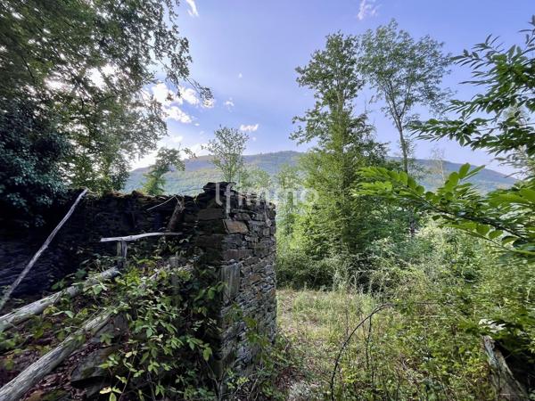 Terrain forestier 10 620 m² avec ancienne bergerie