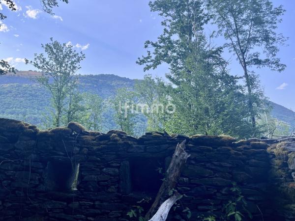 Terrain forestier 10 620 m² avec ancienne bergerie